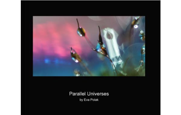 Parallel universe book cover