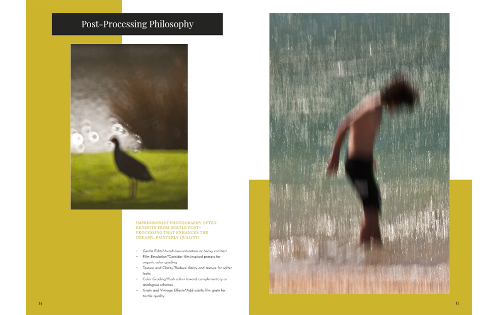 SUMMER IMPRESSIONIST PHOTOGRAPHY GUIDE sample pages