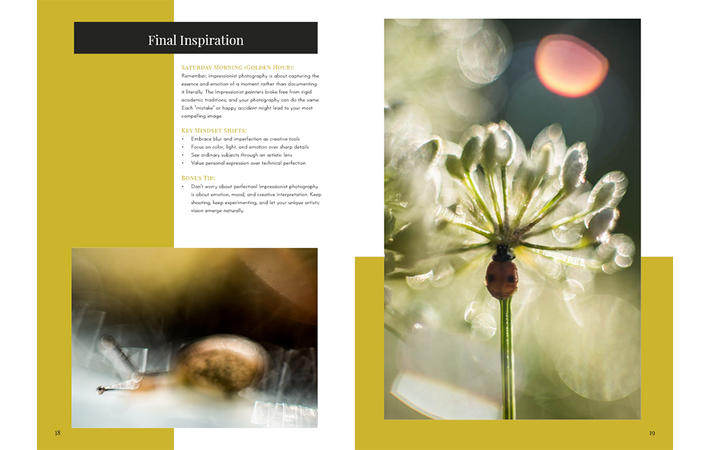 SUMMER IMPRESSIONIST PHOTOGRAPHY GUIDE sample pages