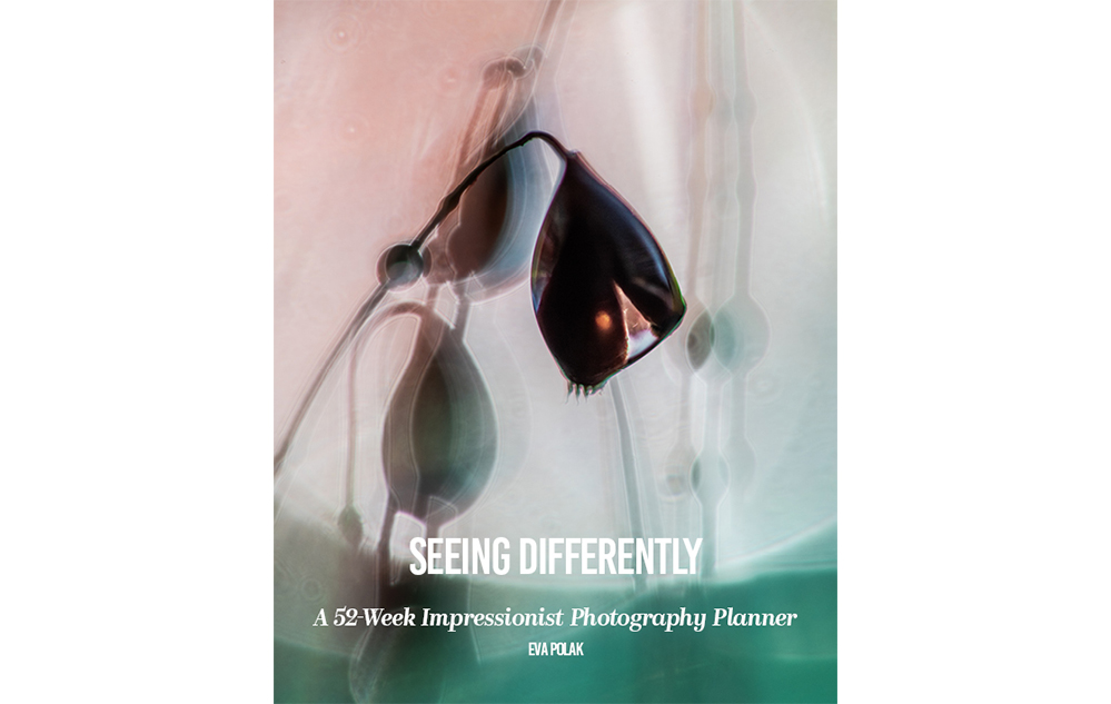 Creative Exercises for Winter Light GUIDE sample pages