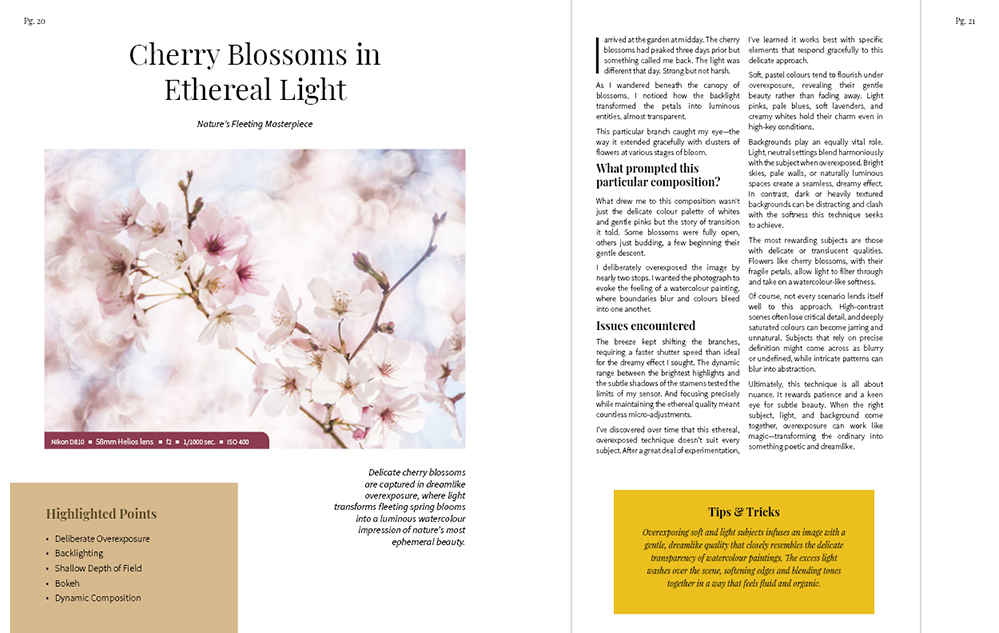  MPRESSIONIST PHOTOGRAPHY TECHNIQUES II sample pages