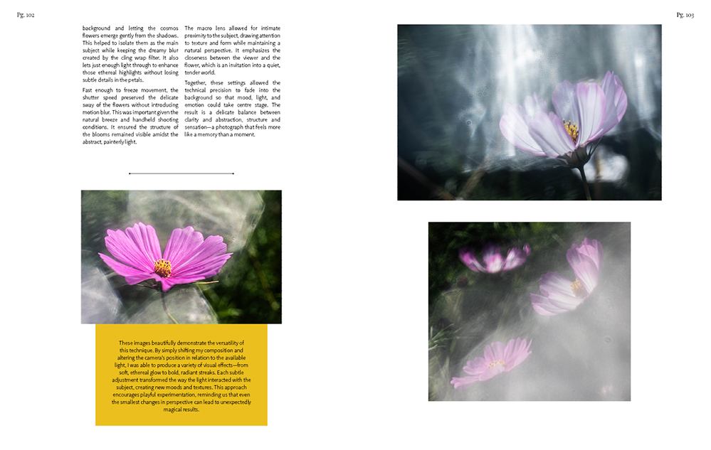  MPRESSIONIST PHOTOGRAPHY TECHNIQUES II sample pages