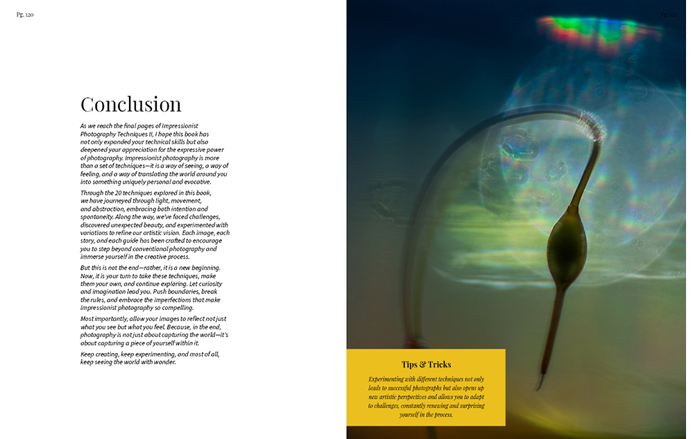  MPRESSIONIST PHOTOGRAPHY TECHNIQUES II sample pages