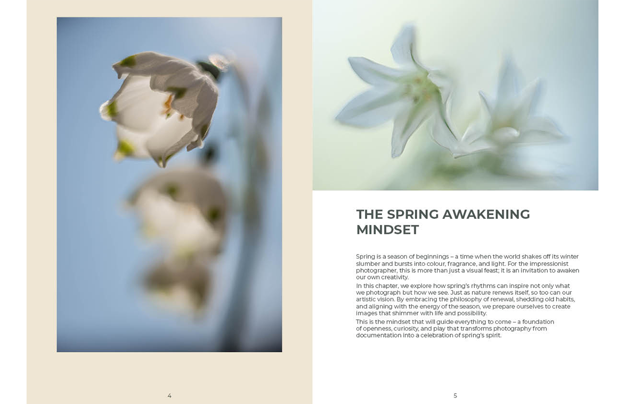 Spring IMPRESSIONIST PHOTOGRAPHY GUIDE sample pages