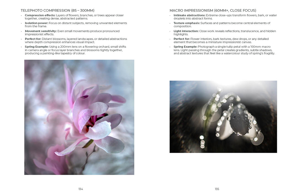 Spring IMPRESSIONIST PHOTOGRAPHY GUIDE sample pages