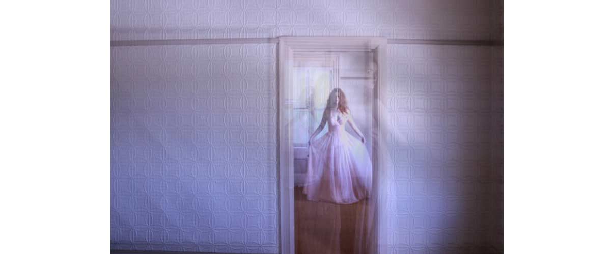 image taken by Wendy Roche