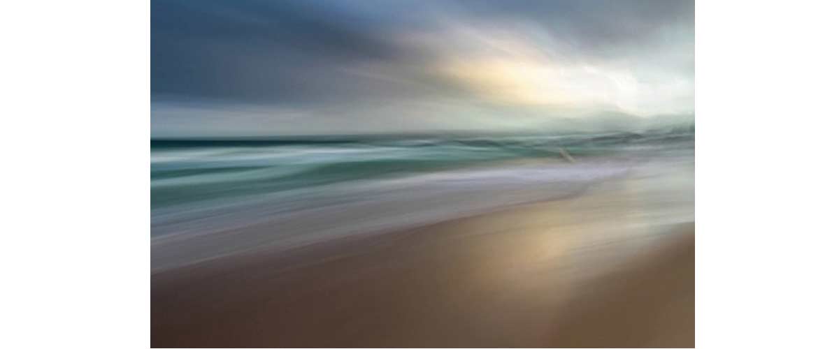 image taken by Wendy Roche