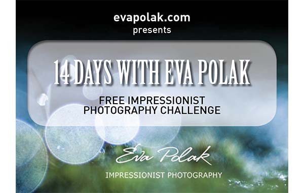 14 days challenge banner