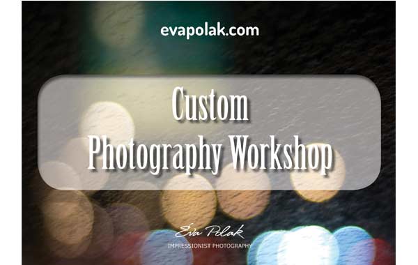Custom Workshops banner