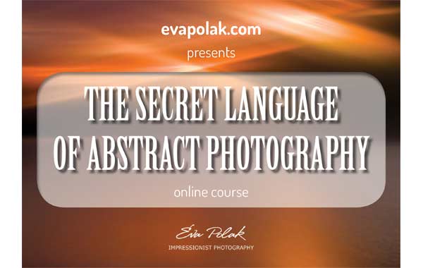 The Secret Language of Abstract Photography Workshop banner