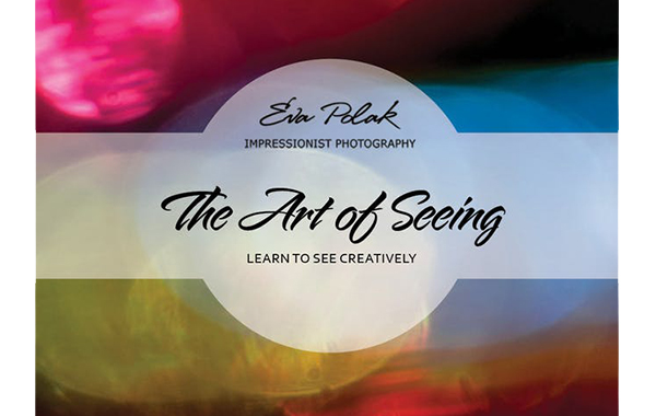 The Art of Seeing banner