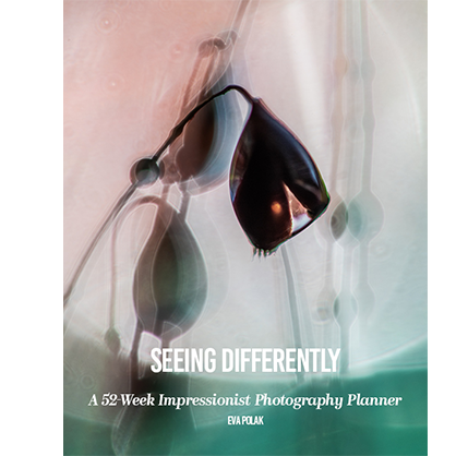 Seeing Differently is a 52-week planner for photographers who want to slow down, see more deeply, and create expressive, meaningful images.