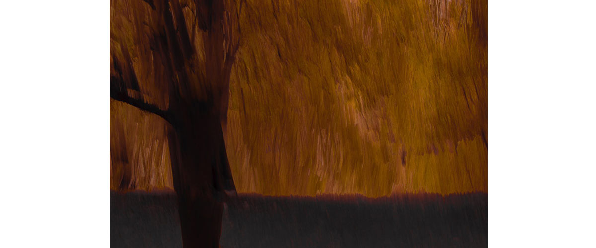 image taken be Chris Friel