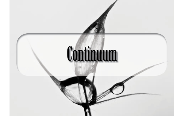 Image of Stories header