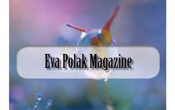 Image of Interviews header