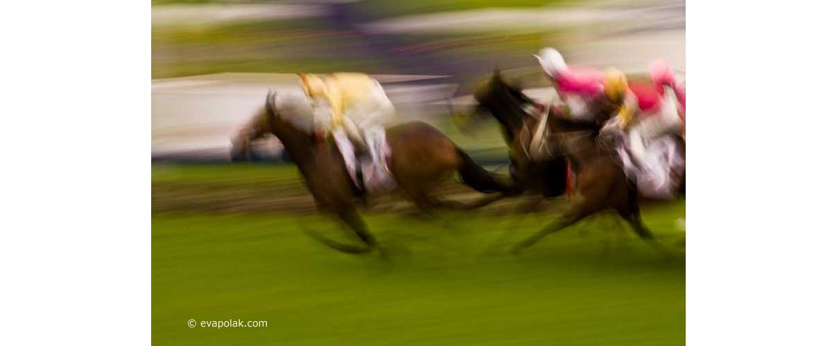 painting movement of horse raicing with a camera