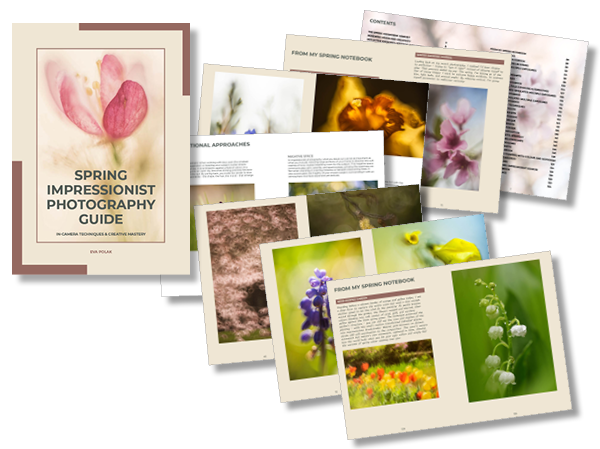 book pages