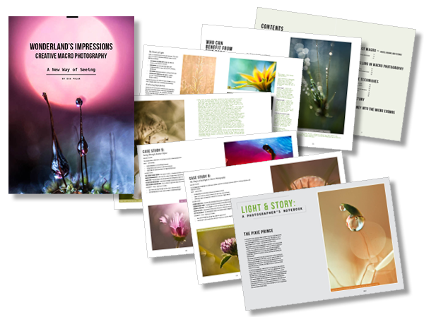 book pages